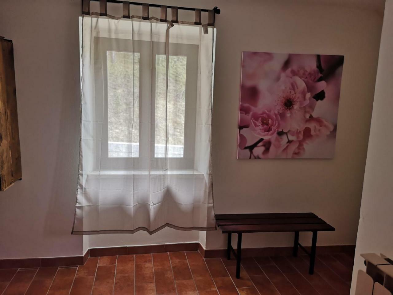 Agriturismo Il Noceto Willa Asyż Zewnętrze zdjęcie