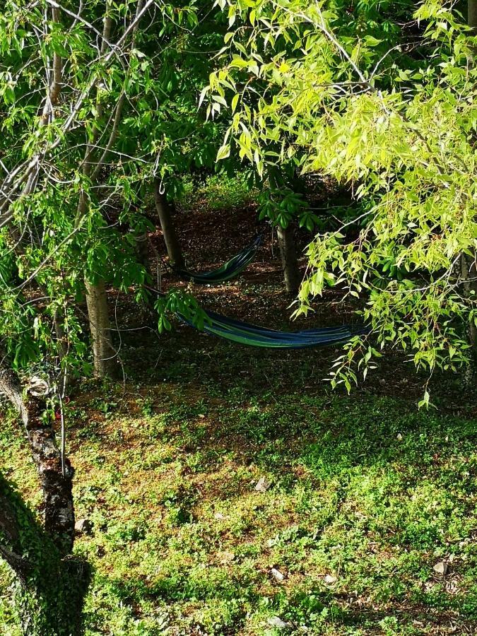 Agriturismo Il Noceto Willa Asyż Zewnętrze zdjęcie