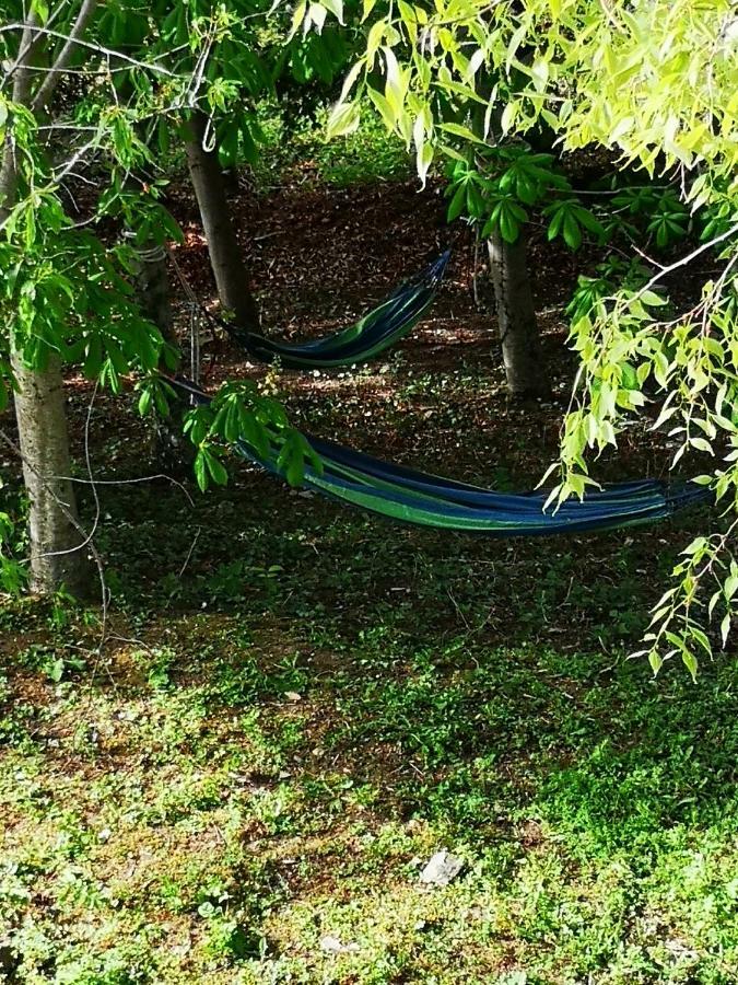 Agriturismo Il Noceto Willa Asyż Zewnętrze zdjęcie