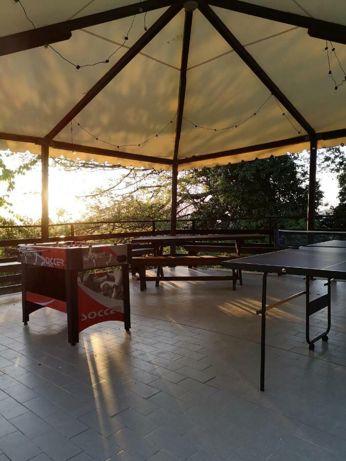 Agriturismo Il Noceto Willa Asyż Zewnętrze zdjęcie