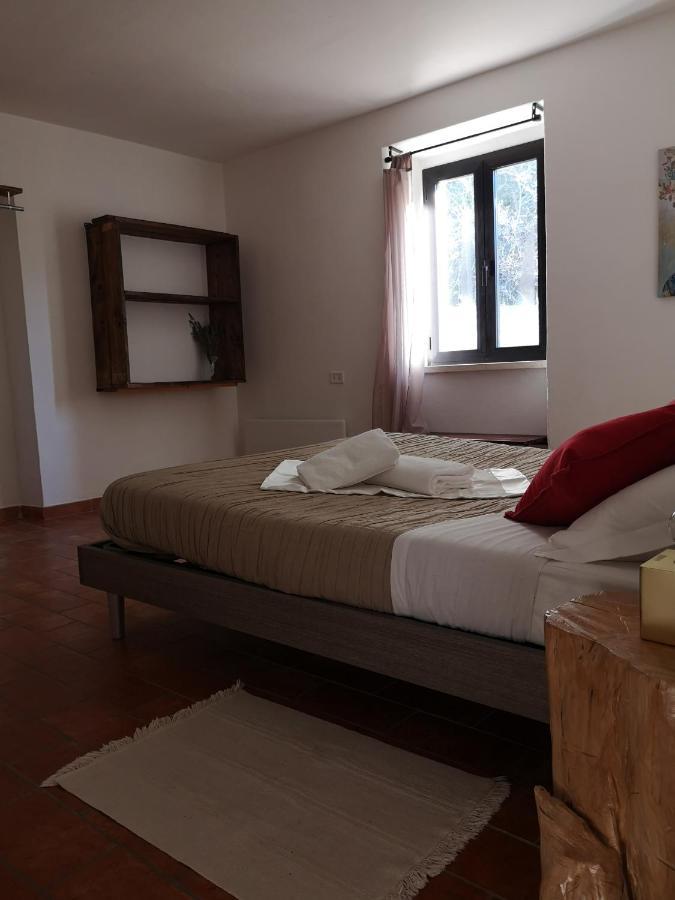 Agriturismo Il Noceto Willa Asyż Zewnętrze zdjęcie